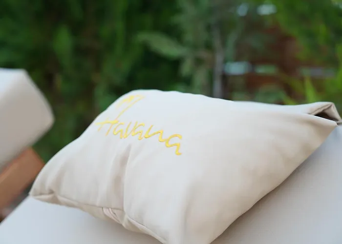 Havana Case de vacanță