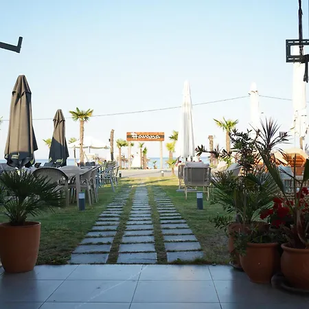 Havana Λεπτοκαρυά