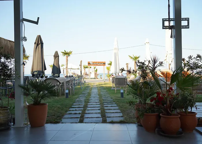 Havana Λεπτοκαρυά